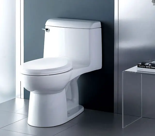 The 5 Best Dual Flush Toilets [2021 Reviews & Rankings]