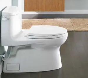 toto drake 2 home depot