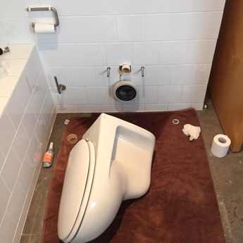 best rated wall mounted toilets