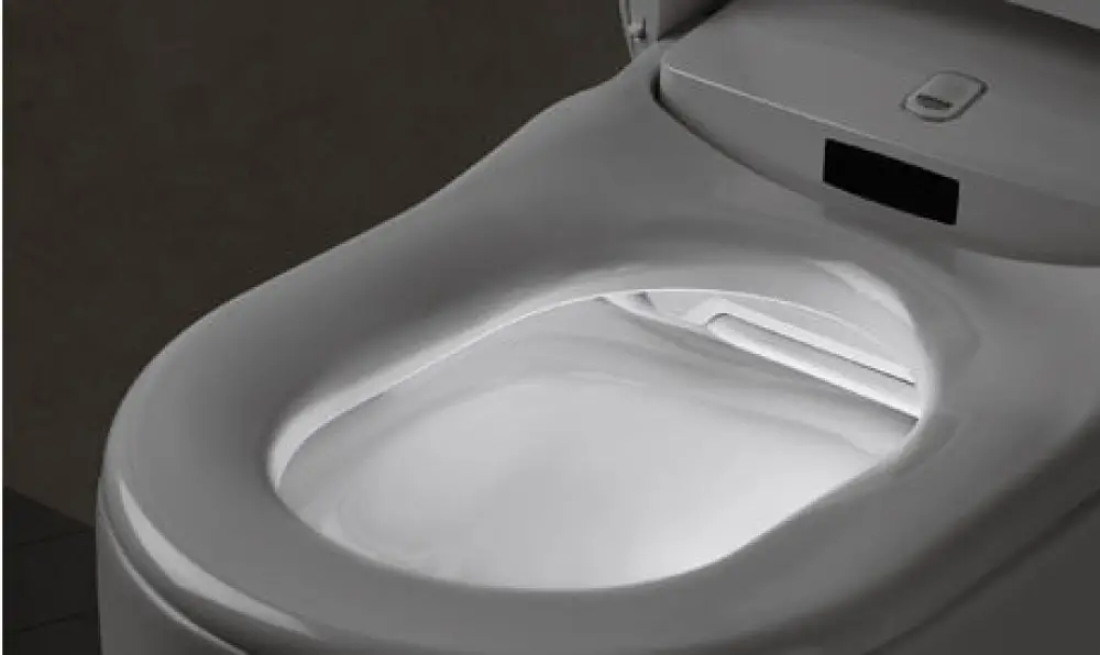 5 Best Bidet Toilet Combos (2021 Reviews & Buyer's Guide)