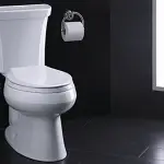 Kohler Wellworth Toilet Review