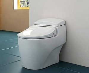 toilets with a bidet