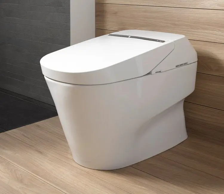 TOTO Neorest 700H Review - Does the Luxury Match Quality?