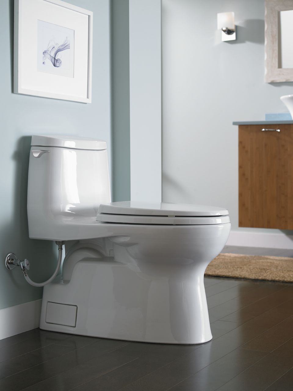 TOTO Carlyle II Review Is This Toilet's Flush Really That Powerful?