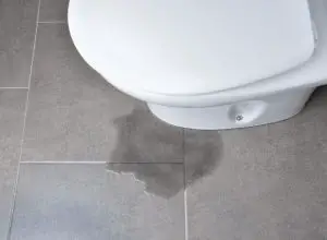 leaky toilet at base