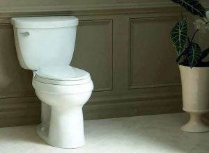 Kohler Highline Classic Review Best Comfort Height Toilet Yet