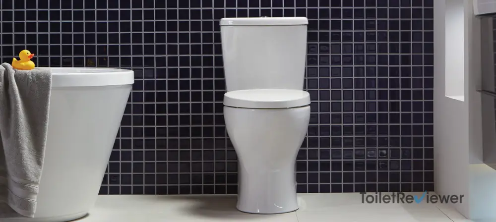 Single Flush vs Dual Flush Toilet
