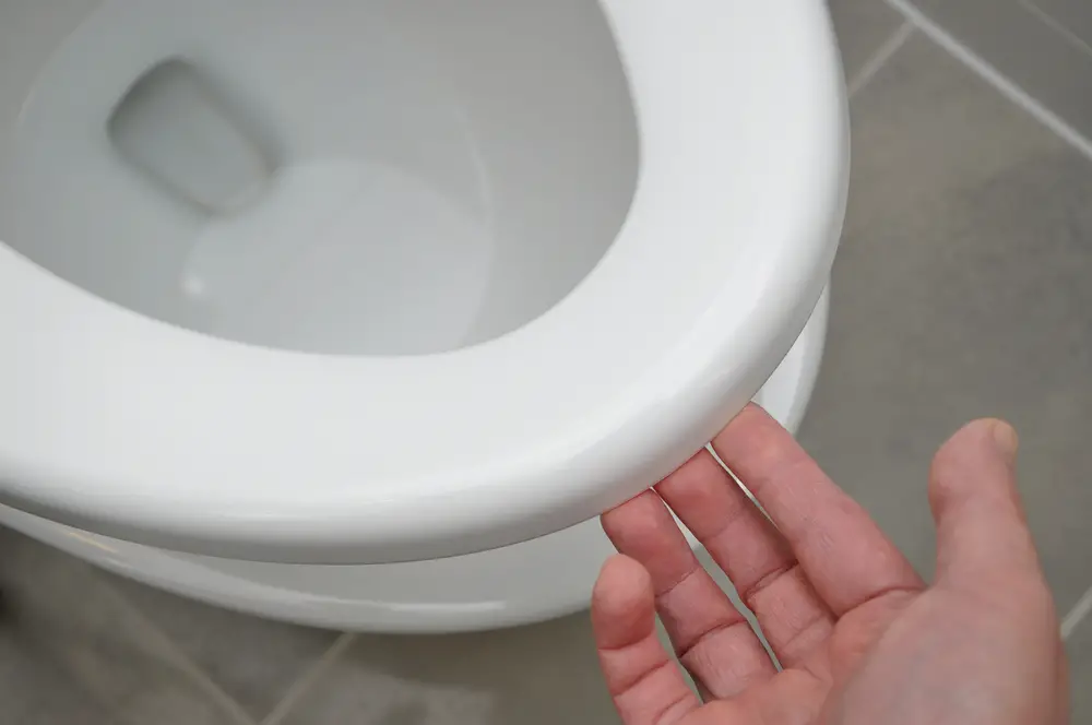 How Much Does a Toilet Weigh? One Vs. Two Piece]