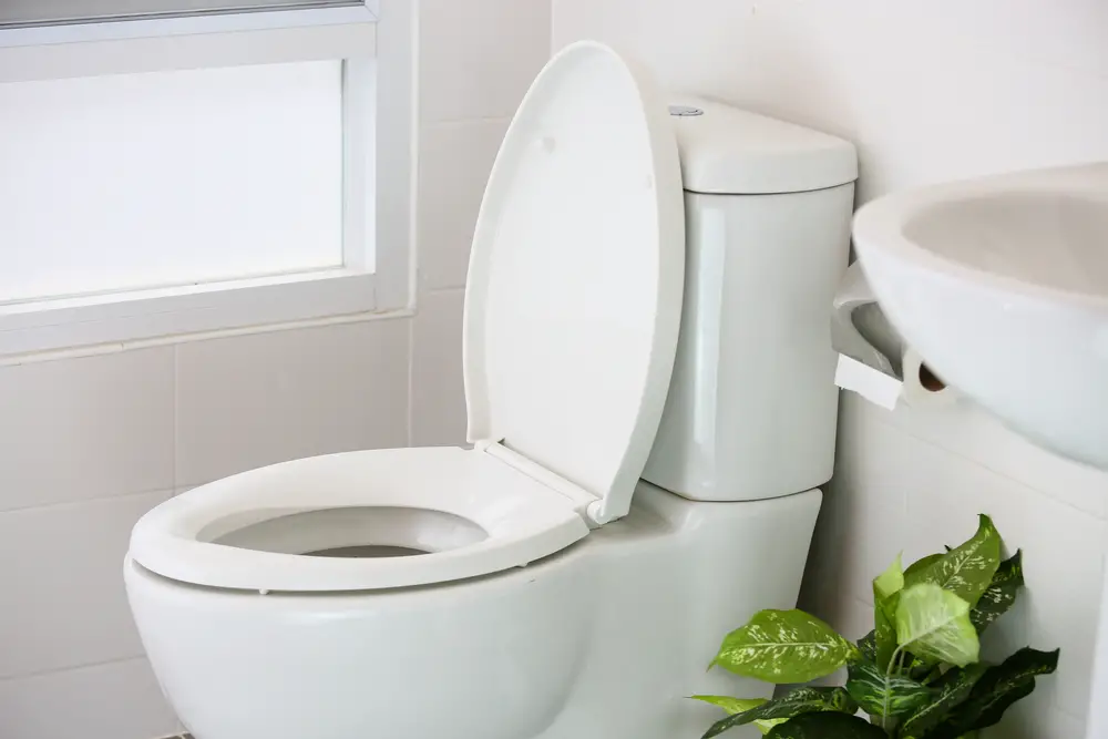 The 5 Best PressureAssist Toilets [Reviews & Rankings]