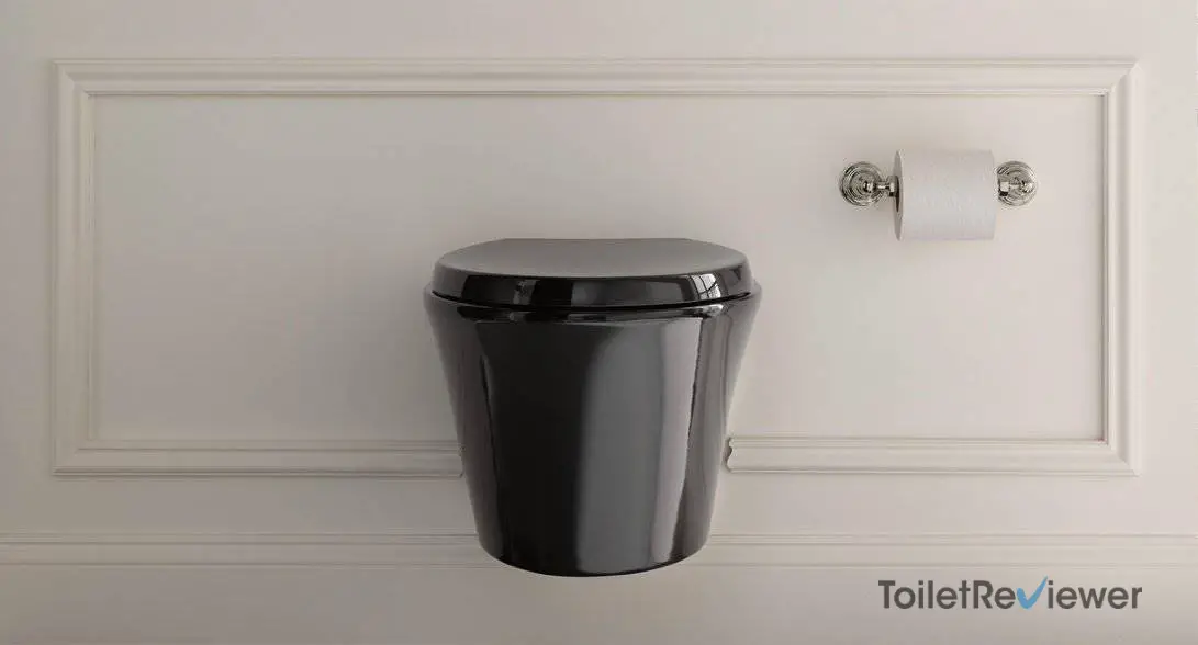 Kohler Veil Toilet Review