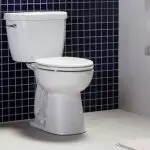 Niagara Stealth Toilet Review