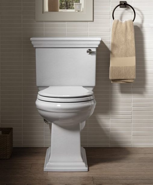 Kohler Memoirs Toilet Review - Is It Really Aesthetically Pleasing ...