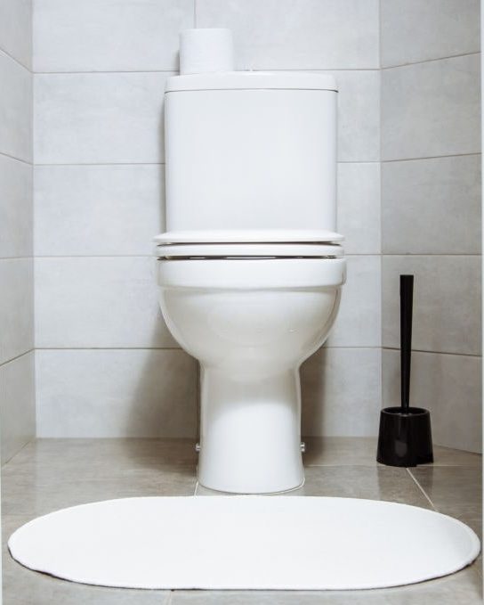 American Standard Cadet 3 Review Is It America's Favorite Toilet Line