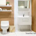 WoodBridge T-0001 Toilet Review