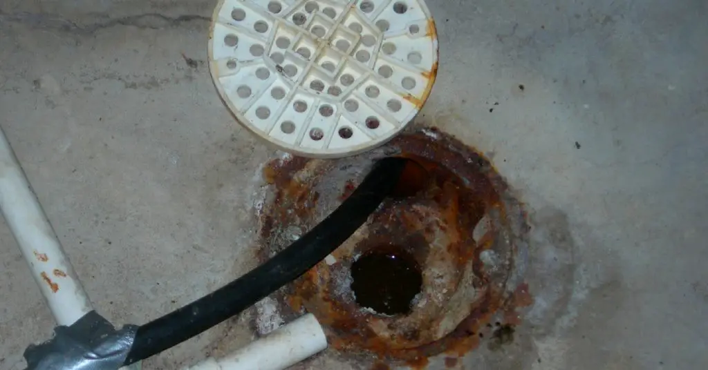 How To Snake Out A Floor Drain Best Drain Photos