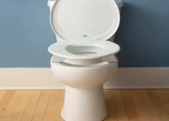 How to Remove a Bemis Toilet Seat