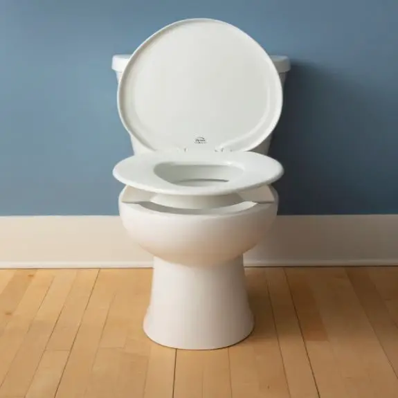 How To Remove A Bemis Toilet Seat Reviewer - Bemis Toilet Seat Removal For Cleaning