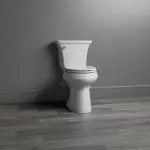 Kohler Toilet Running Intermittently