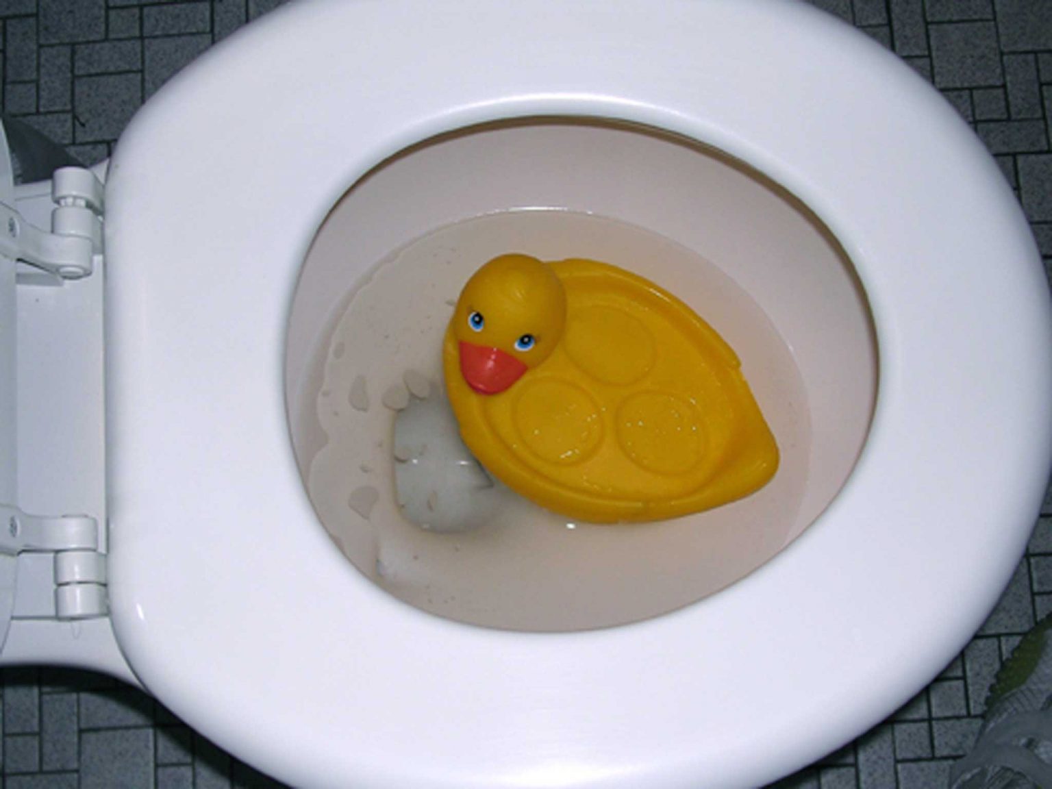 How To Get A Toy Out Of The Toilet [Quickly] Toilet Reviewer