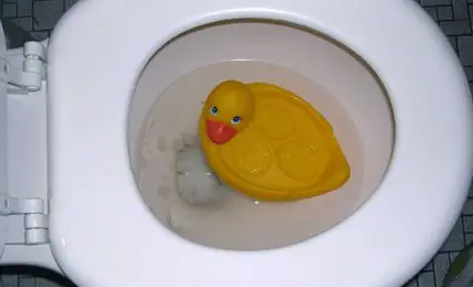 How To Get A Toy Out Of The Toilet