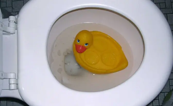 How To Get A Toy Out Of The Toilet