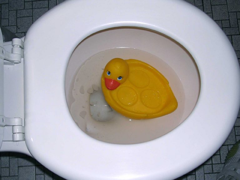 How To Get A Toy Out Of The Toilet [Quickly] Toilet Reviewer