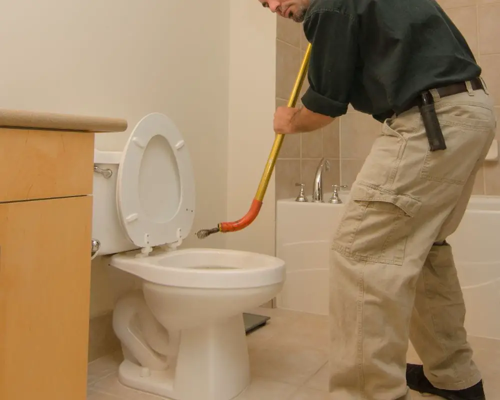 toilet auger vs snake