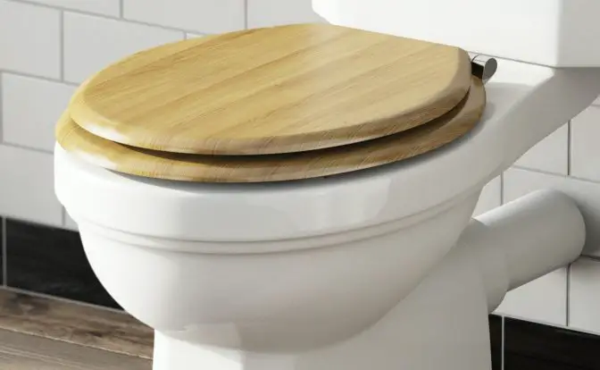 Wood vs. Plastic Toilet Seat