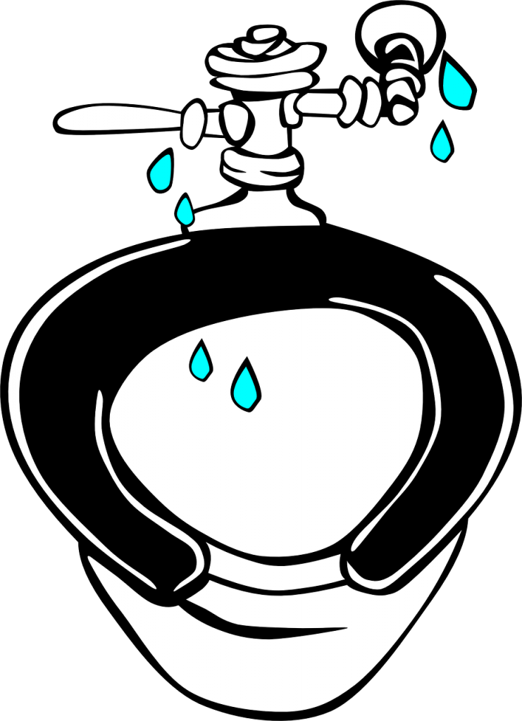 How to Stop Toilet Flapper from Closing Too Quickly Toilet Reviewer