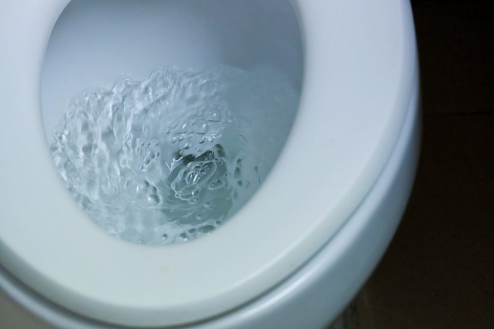 Water Level in Toilet Bowl Keeps Dropping (How You Can Fix It) - Toilet ...