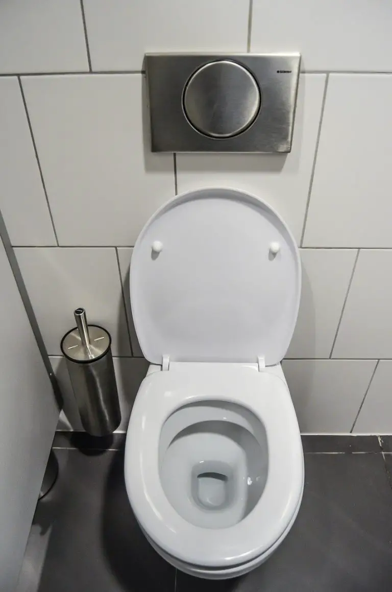 How To Empty Toilet Bowl (Quickly & Easily!) Toilet Reviewer